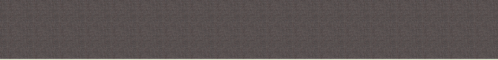 Digital Privacy Policy